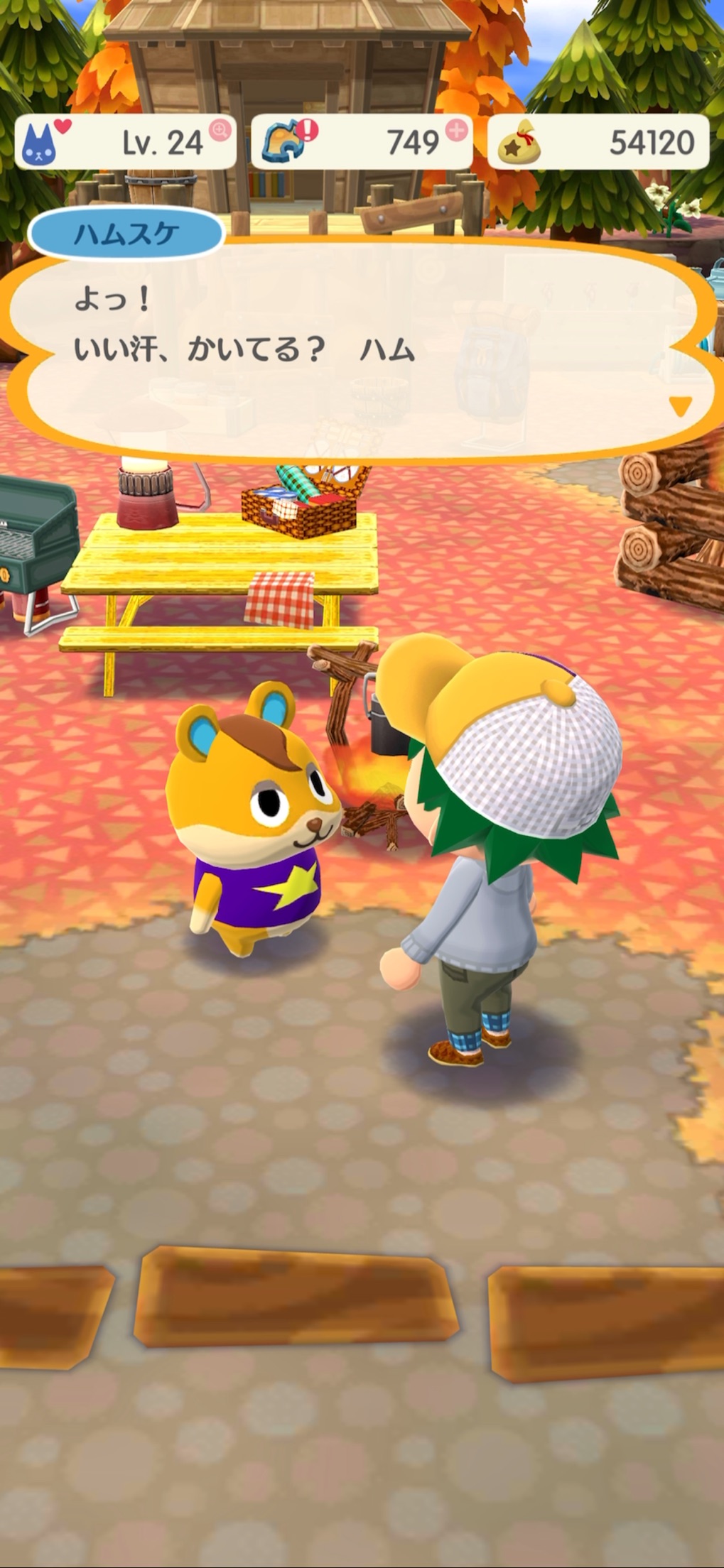 どうぶつの森 ポケットキャンプ コンプリート キャンプファイヤーの前でどうぶつのハムスケと会話している画面