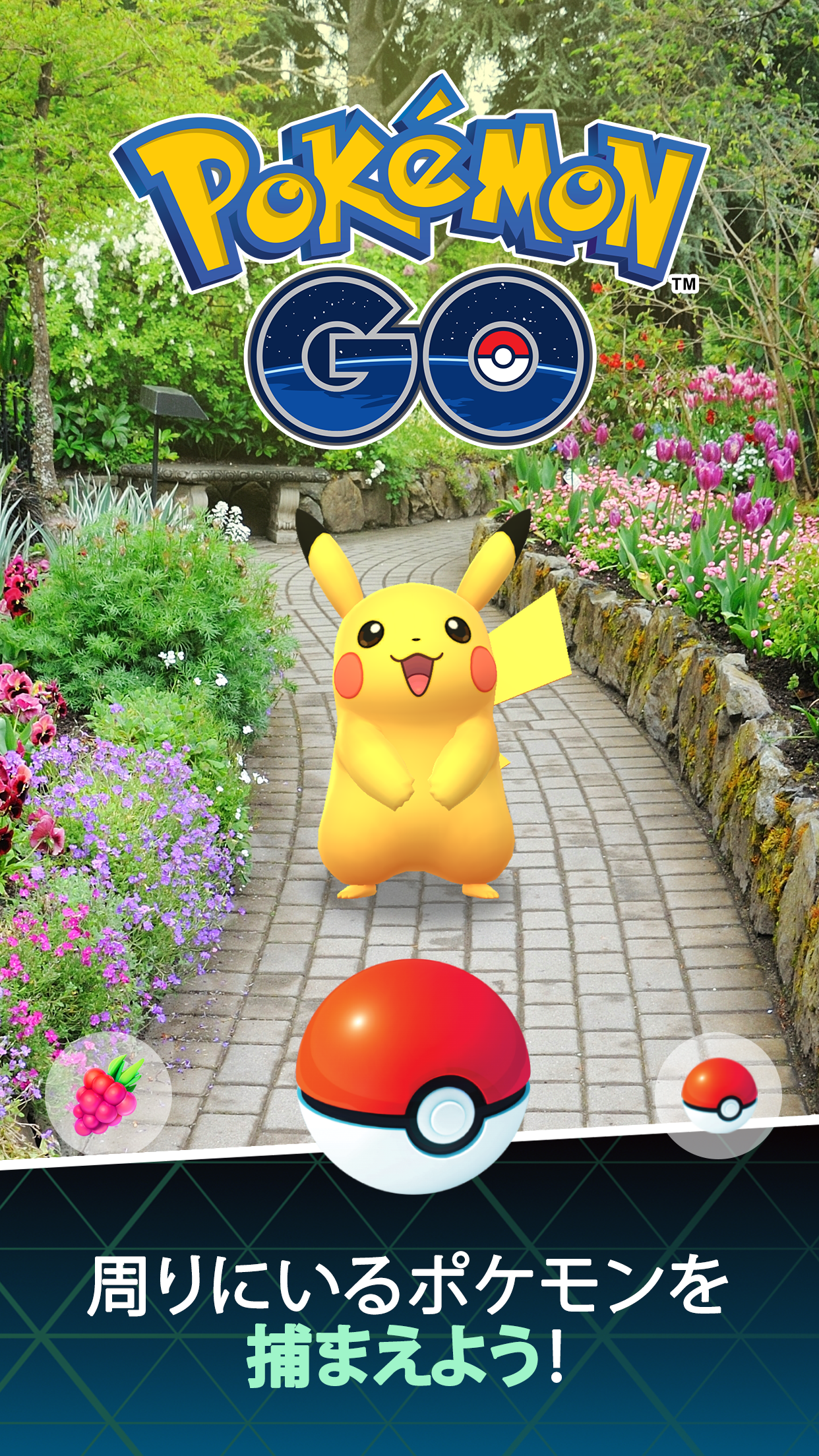 ポケモンGO 周りにいるポケモンを捕まえようという捕獲画面のピカチュウ